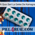 À Quoi Sert La Gelée De Kamagra dapoxetine1